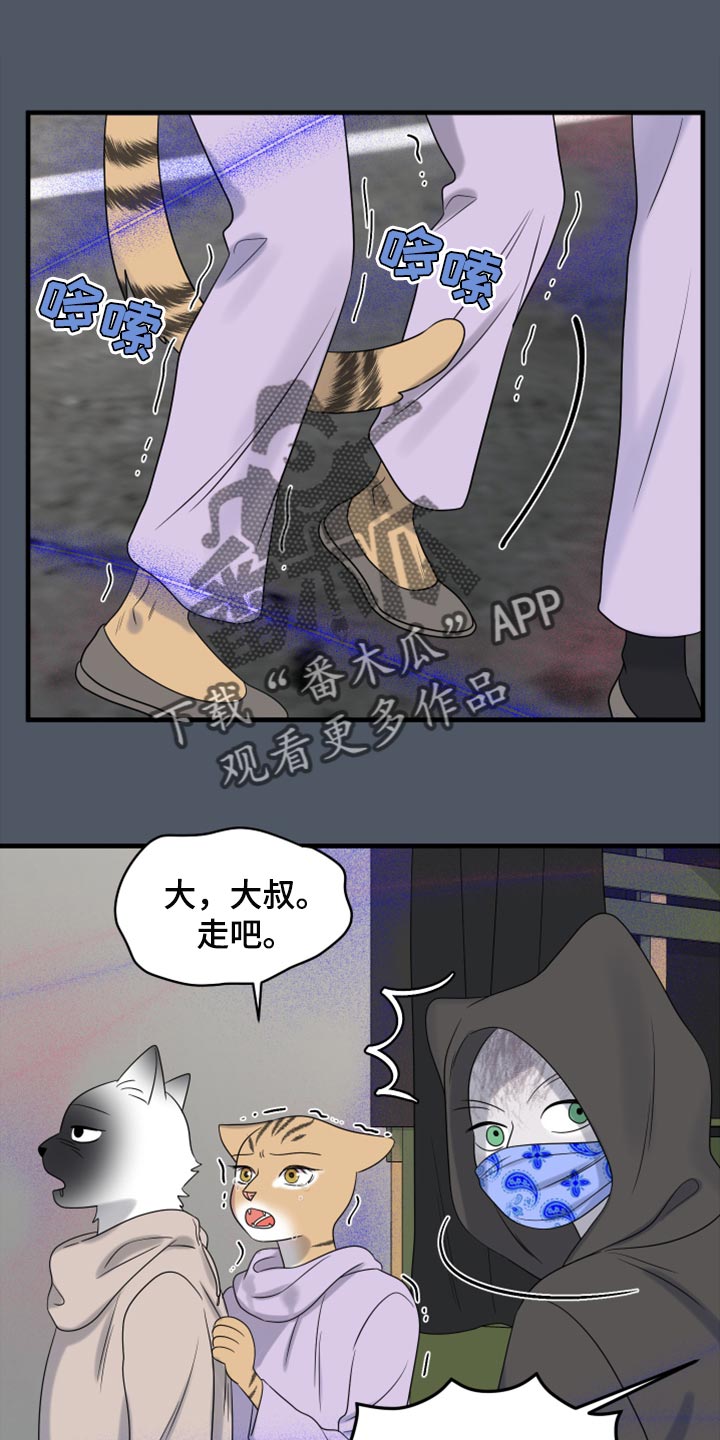 灵猫欧米伽漫画免费观看漫画,第82章：【第二季】我不能离开1图