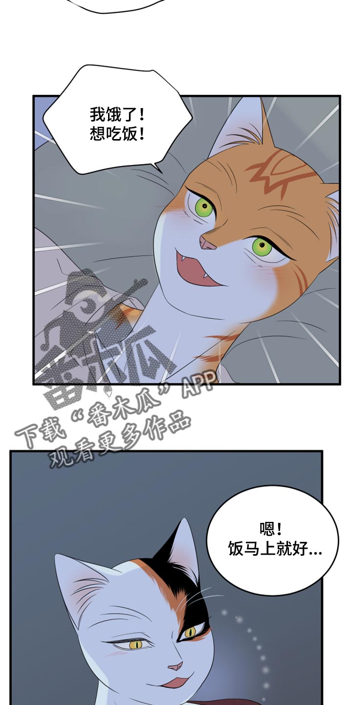 灵猫传汪苏泷漫画,第66章：【第二季】你可以放心了2图