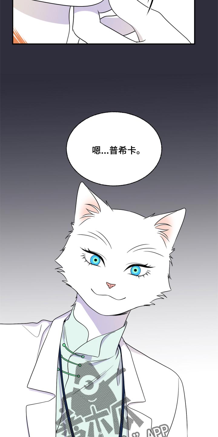 灵猫欧米伽免费阅读漫画,第52章：我的人生我做主（第一季完结）1图