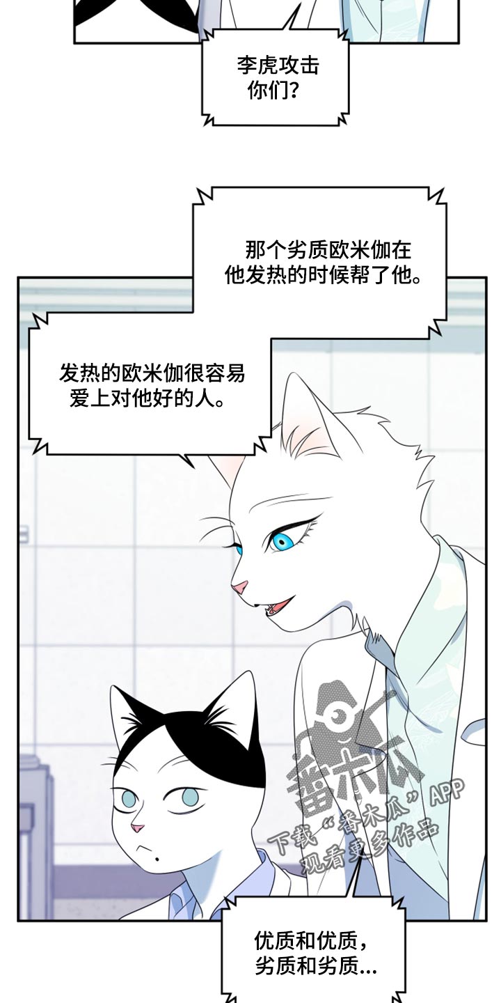 灵猫欧米伽虐不虐漫画,第57章：【第二季】新来的2图