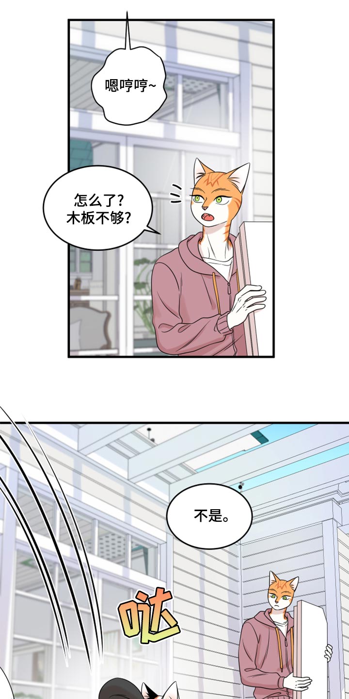 灵猫欧米伽是双男主吗漫画,第92章：【第二季】改变的勇气2图