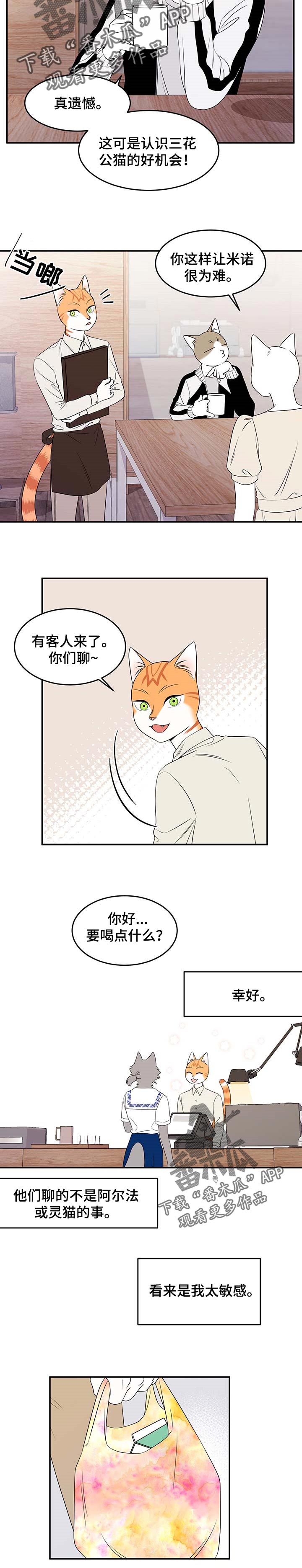 灵猫欧米伽第三季156章漫画,第25章：珍贵1图