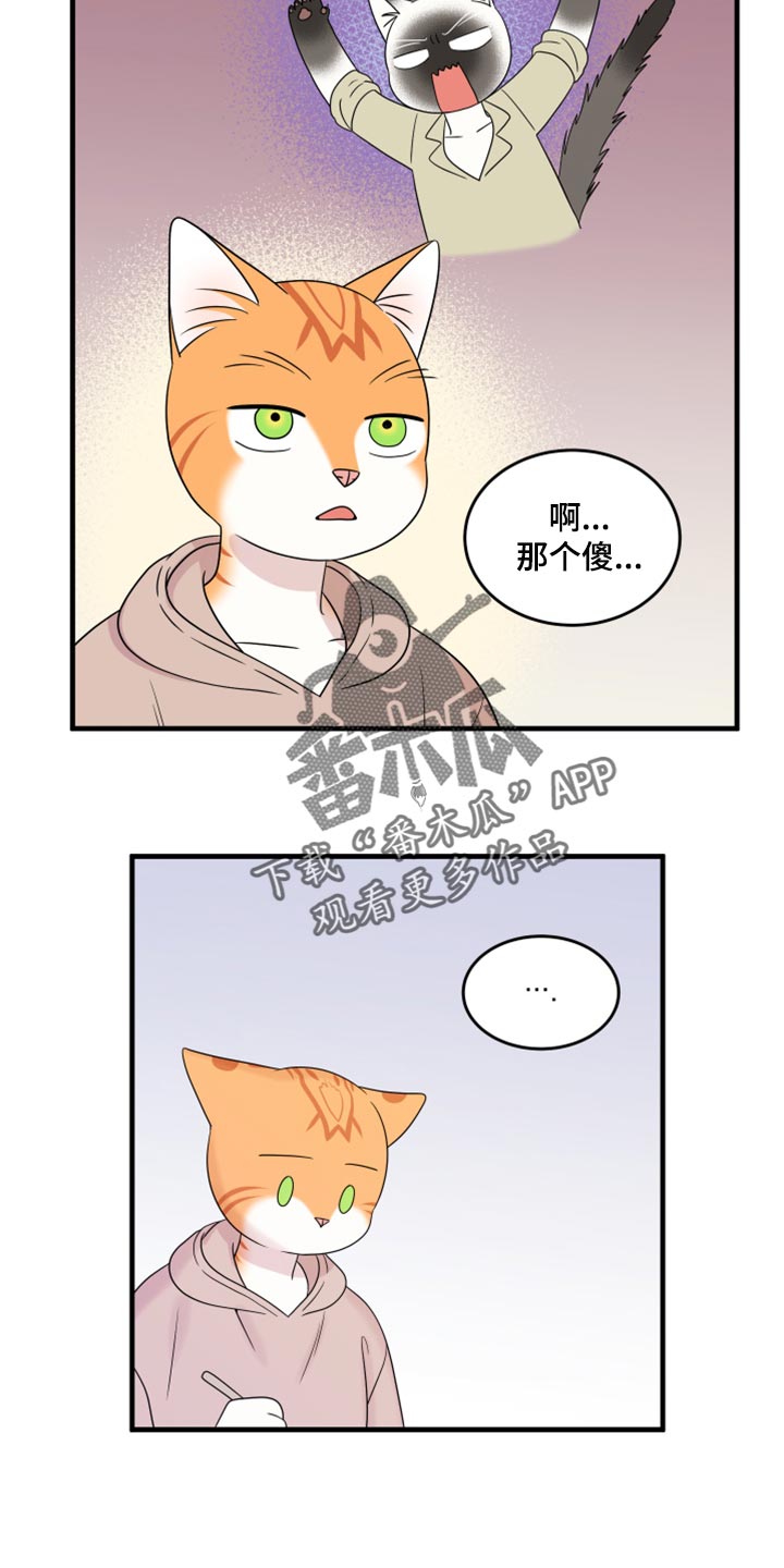 omega猫漫画,第73章：【第二季】绑架灵猫1图