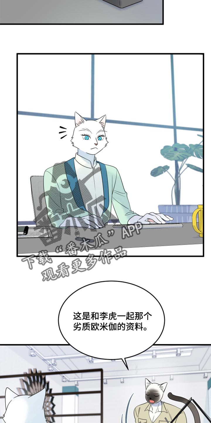 灵猫欧米伽漫画,第65章：【第二季】你到底在想什么？1图