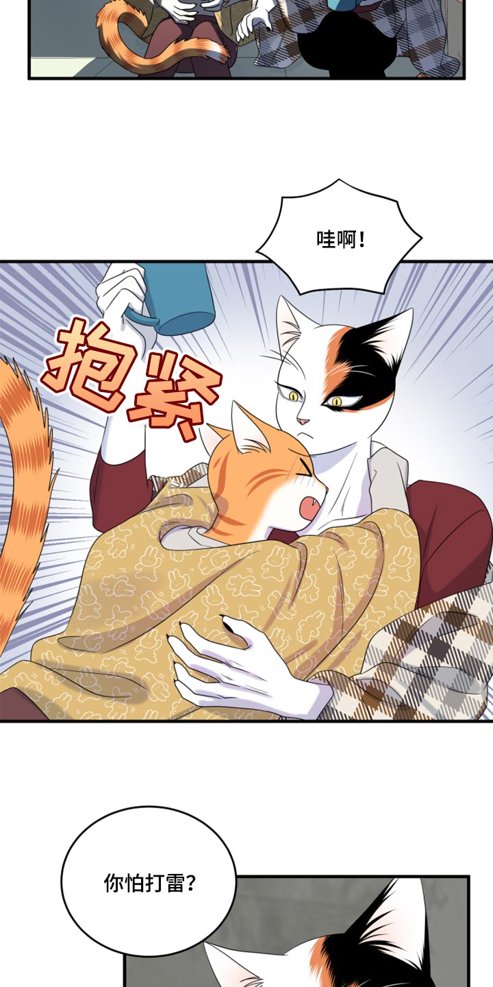 灵猫欧米伽免费版在哪里看漫画,第89章：【第二季】乱七八糟1图