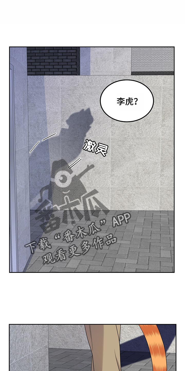 灵猫欧米伽第三季156章漫画,第44章：我们回家吧1图