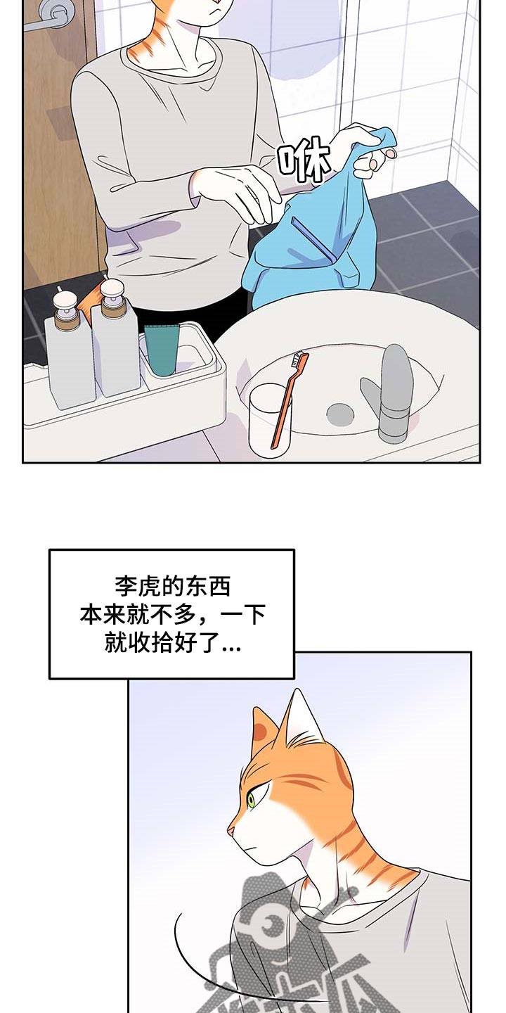 灵猫欧米伽漫画免费双男主漫画,第42章：联系方式1图