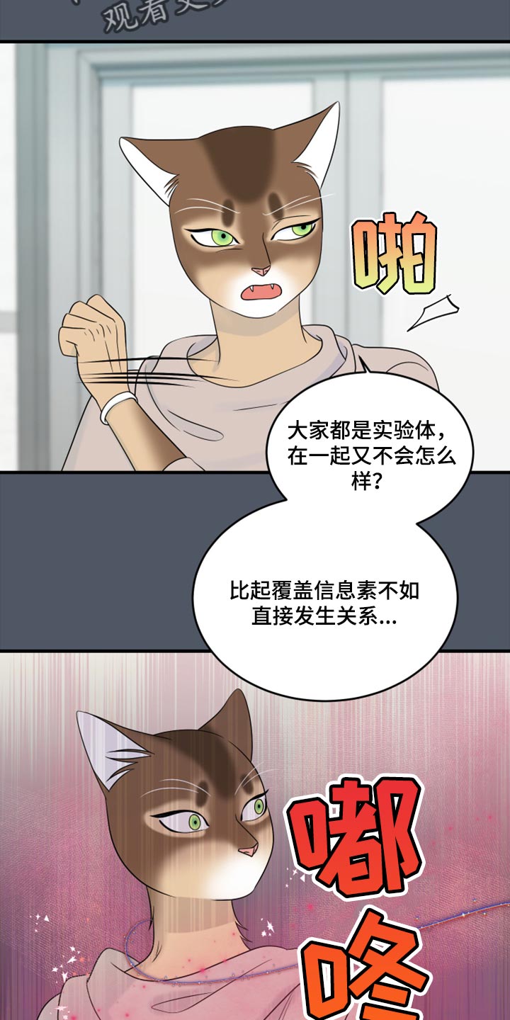 欧米伽3对猫的作用漫画,第86章：【第二季】忍耐1图