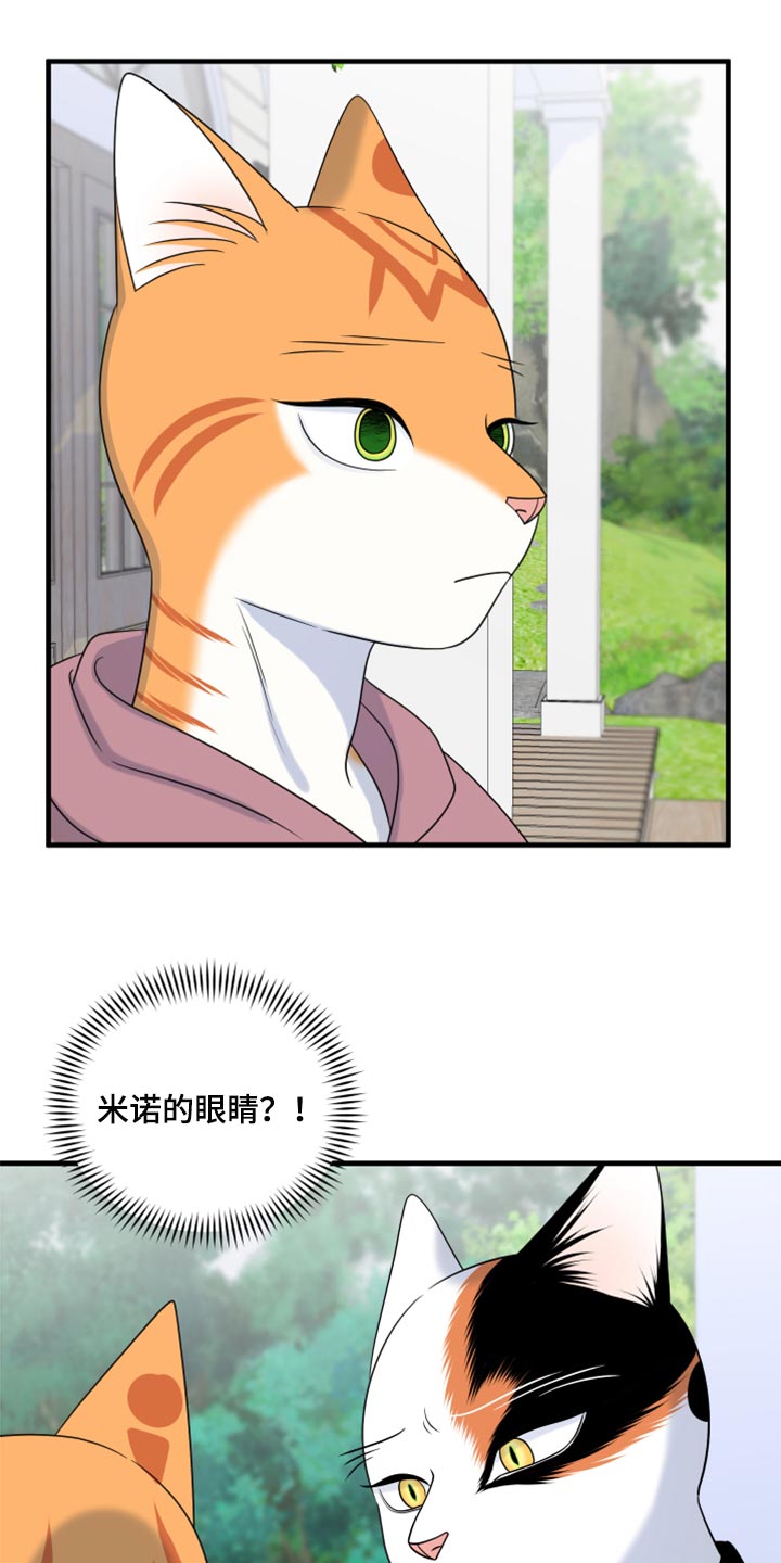 灵猫欧米伽免费版在哪里看漫画,第90章：【第二季】想得太乐观2图