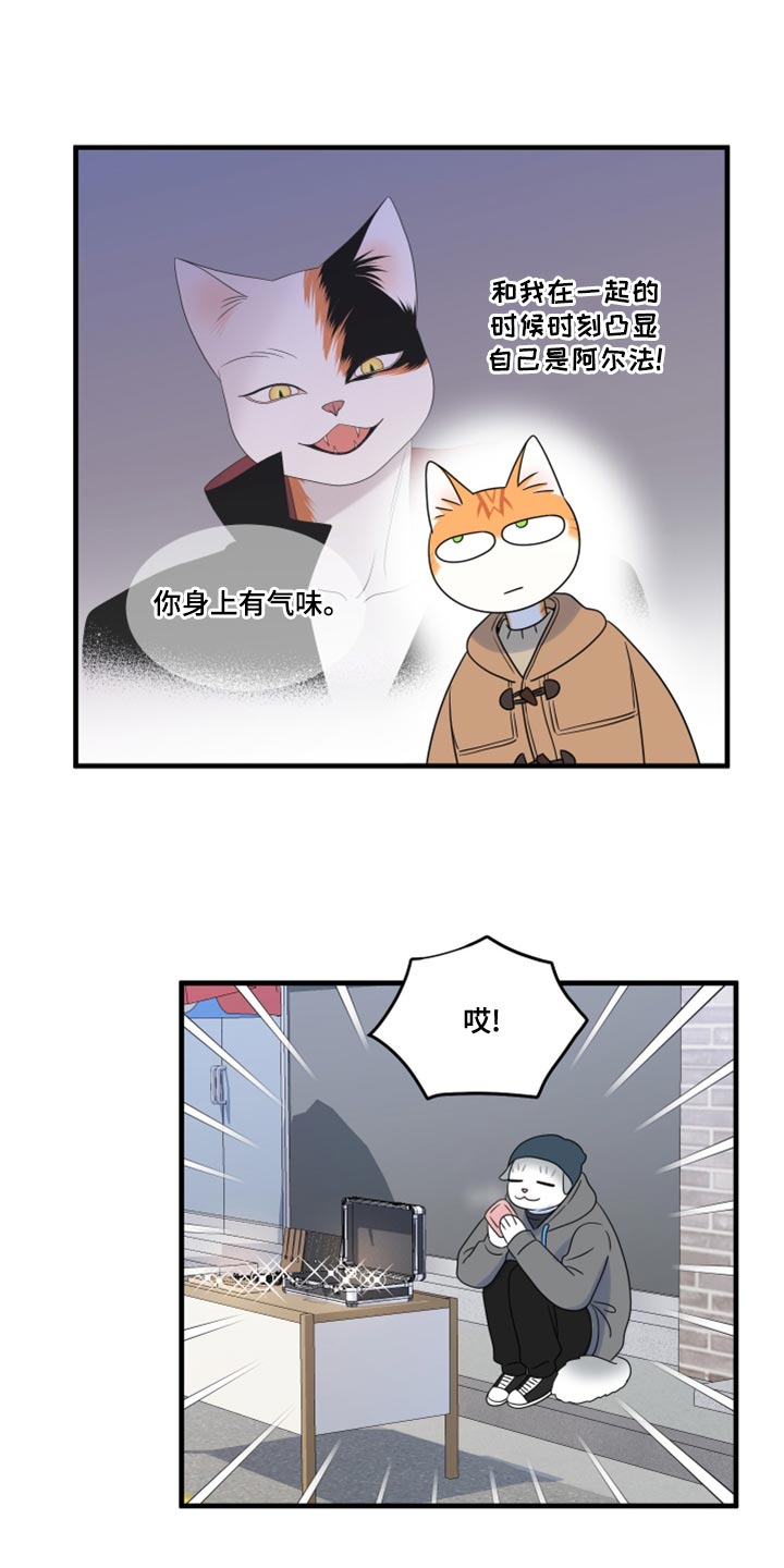 灵猫欧米伽漫画,第101章：【第二季】郁闷的心情都消失了1图