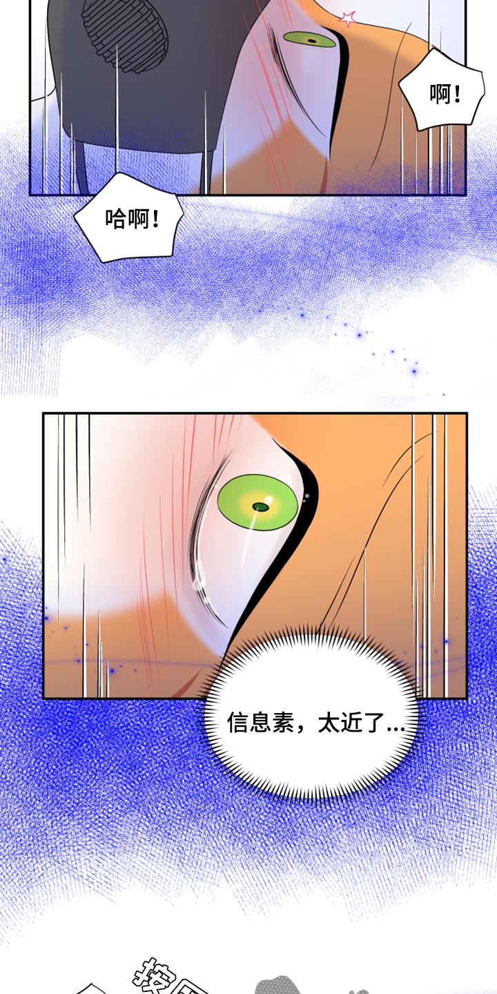 灵猫欧米伽在哪里免费看漫画,第64章：【第二季】恢复意识1图