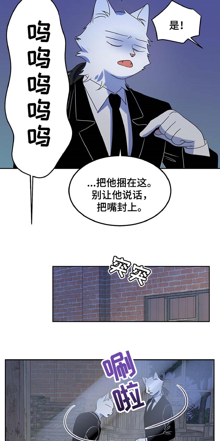 灵猫欧米伽漫蛙叫什么漫画,第37章：我很强的2图