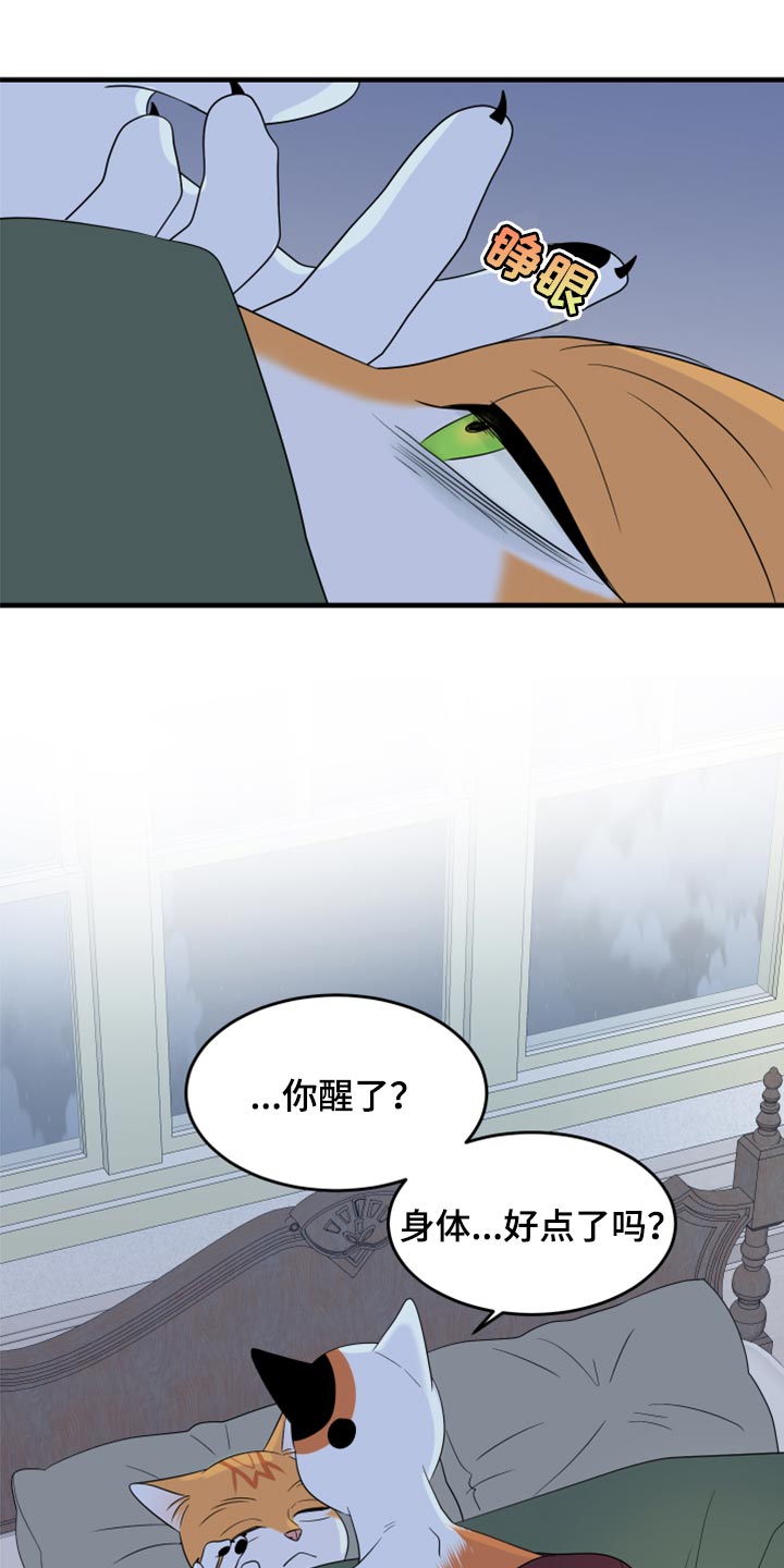 灵猫动画漫画,第66章：【第二季】你可以放心了2图