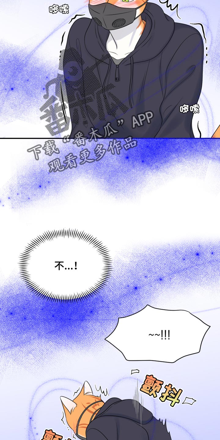 灵猫欧米伽免费版在哪里看漫画,第63章：【第二季】眼睛还是没变2图