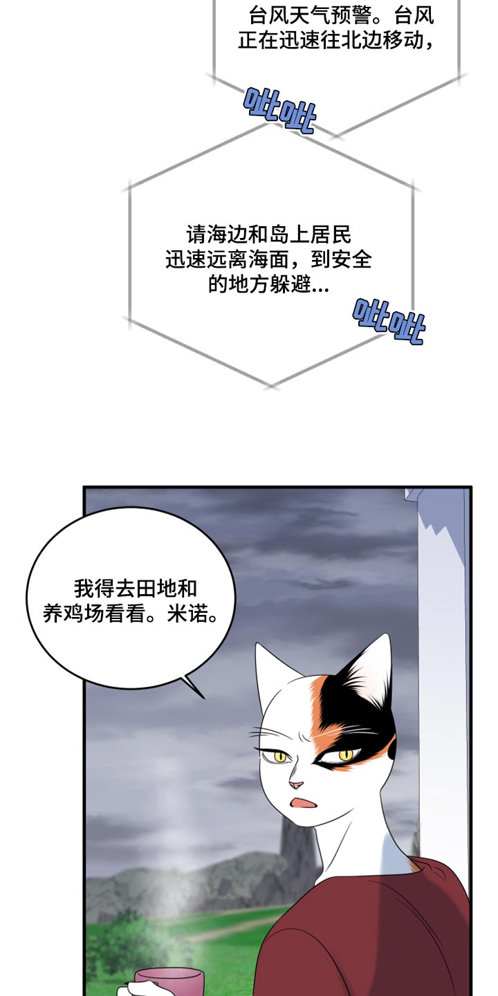 灵猫欧米伽漫画全集免费观看漫画,第88章：【第二季】台风1图