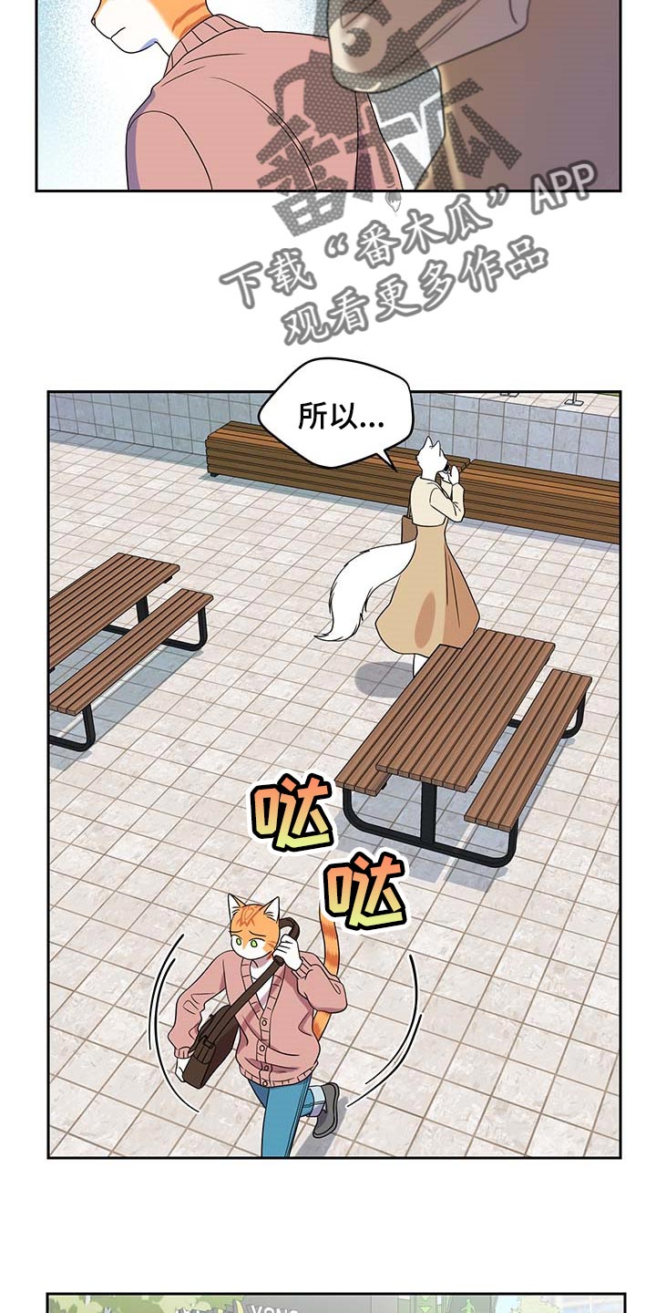 灵猫欧米伽漫蛙叫什么漫画,第42章：联系方式2图