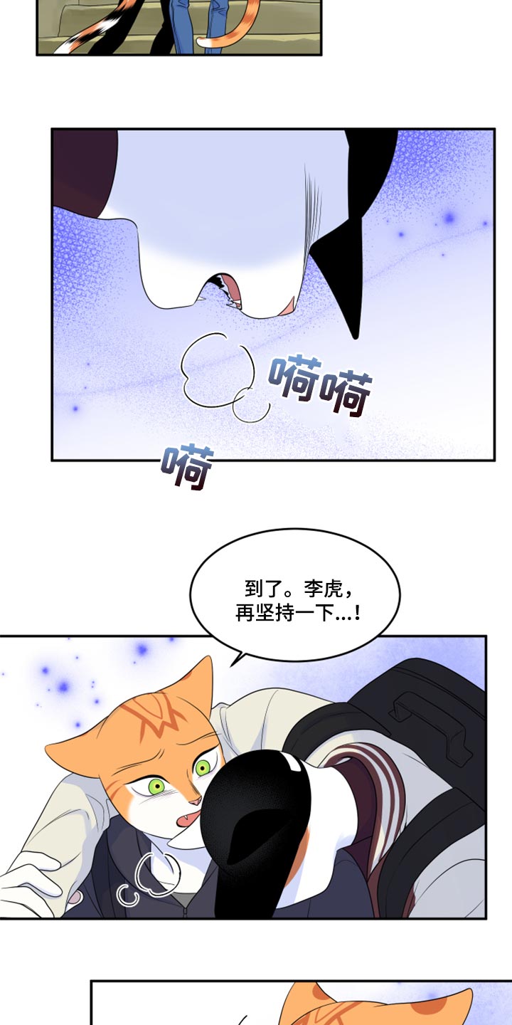 灵猫欧米伽合集漫画,第60章：【第二季】失去理智2图