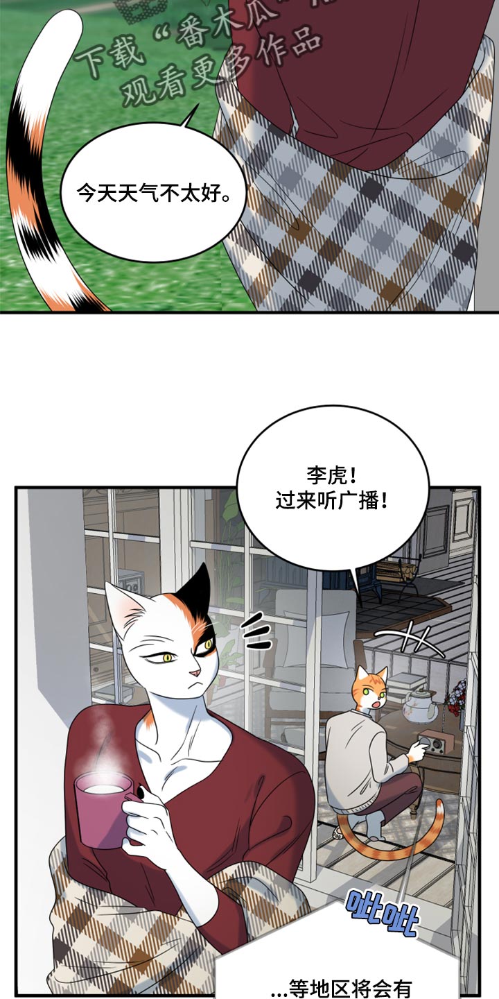 灵猫欧米茄画涯漫画,第88章：【第二季】台风2图