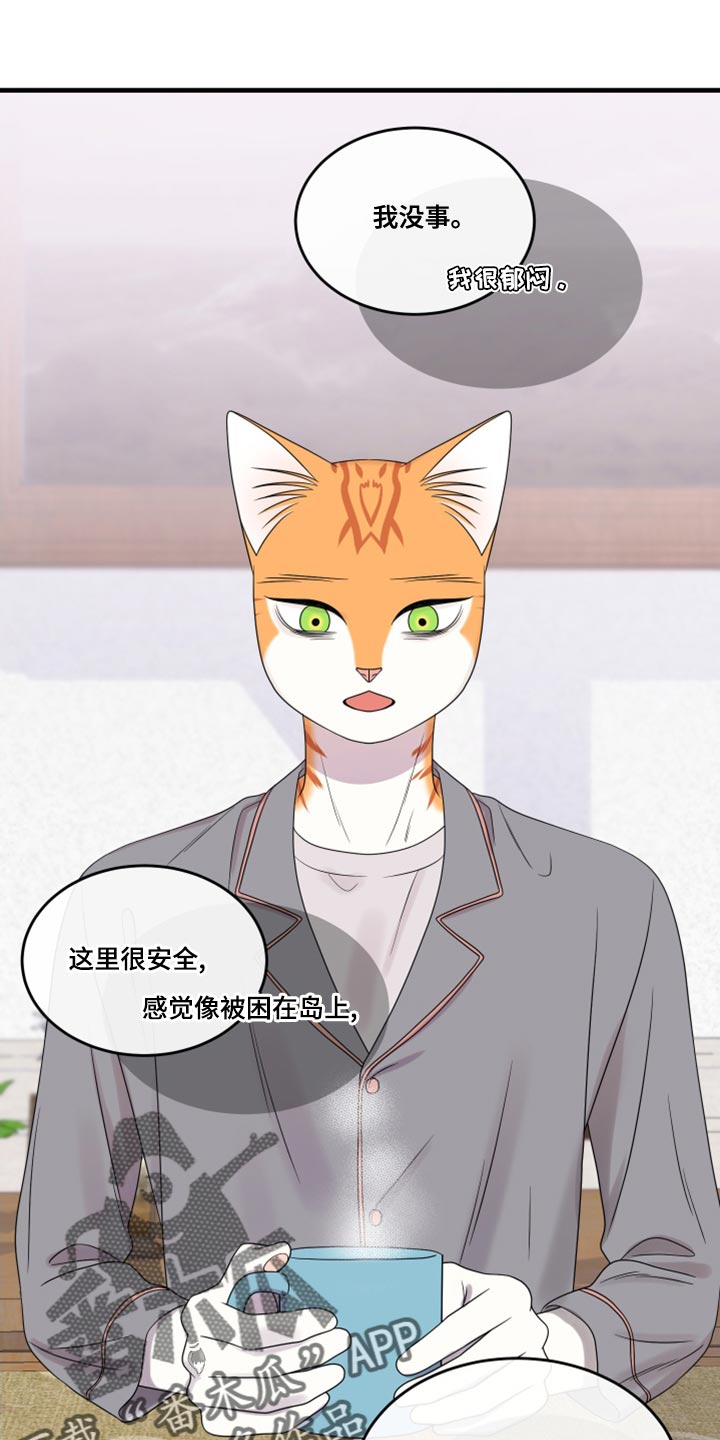 灵猫欧米伽漫画免费看漫画,第100章：【第二季】那我们出去吧1图