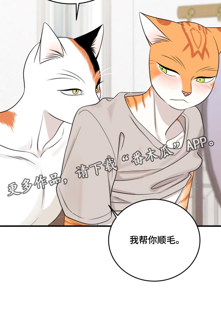 灵猫欧米伽漫画,第90章：【第二季】想得太乐观2图