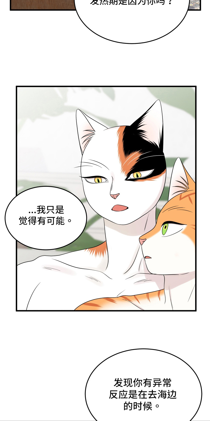 灵猫传手游漫画,第105章：【第二季】分析1图