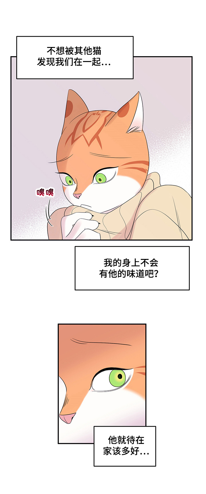 灵猫欧米伽漫画全集免费观看漫画,第8章：你醒了1图