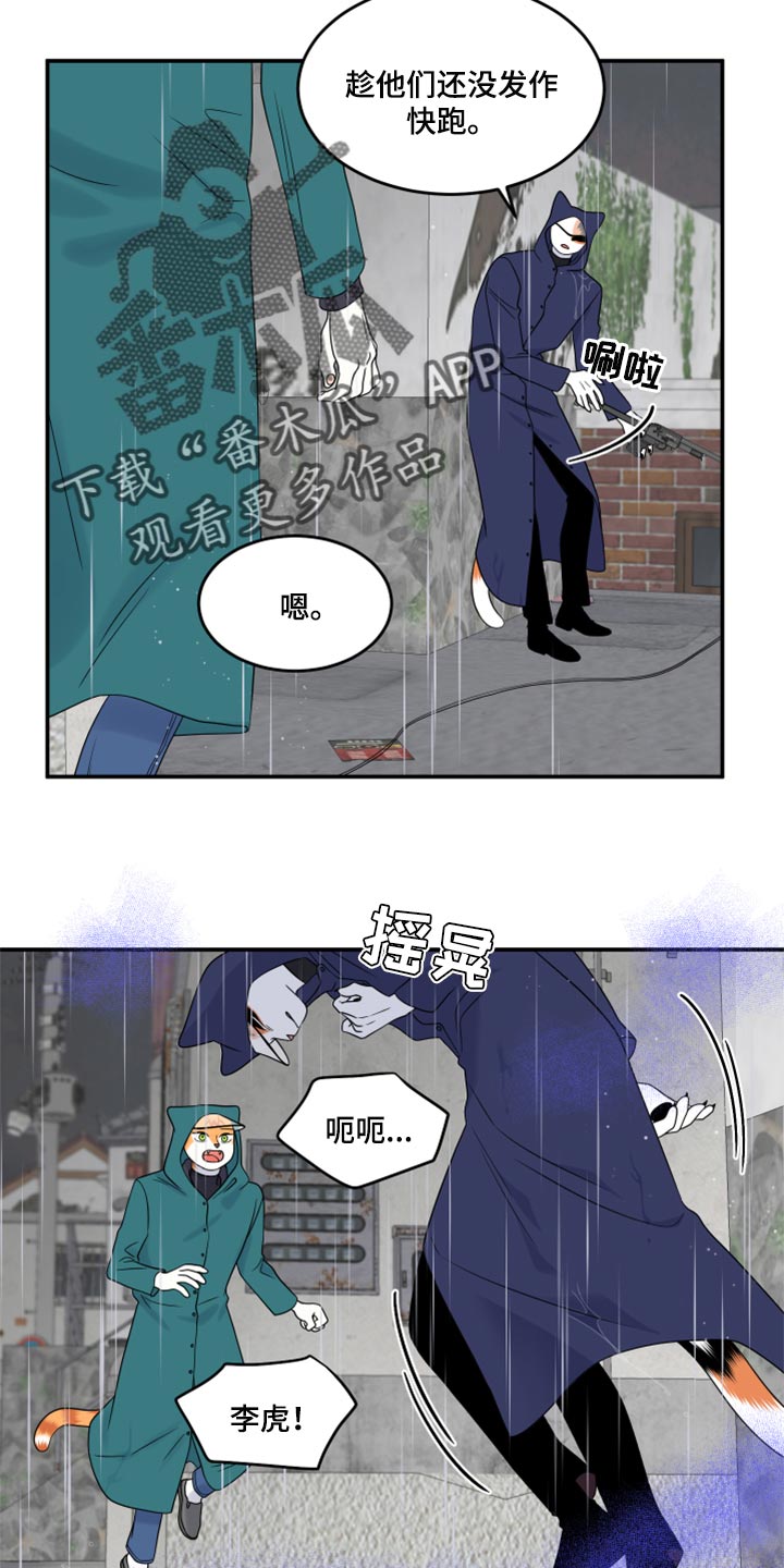 灵猫欧米伽免费版在哪里看漫画,第53章：【第二季】逃跑之路2图