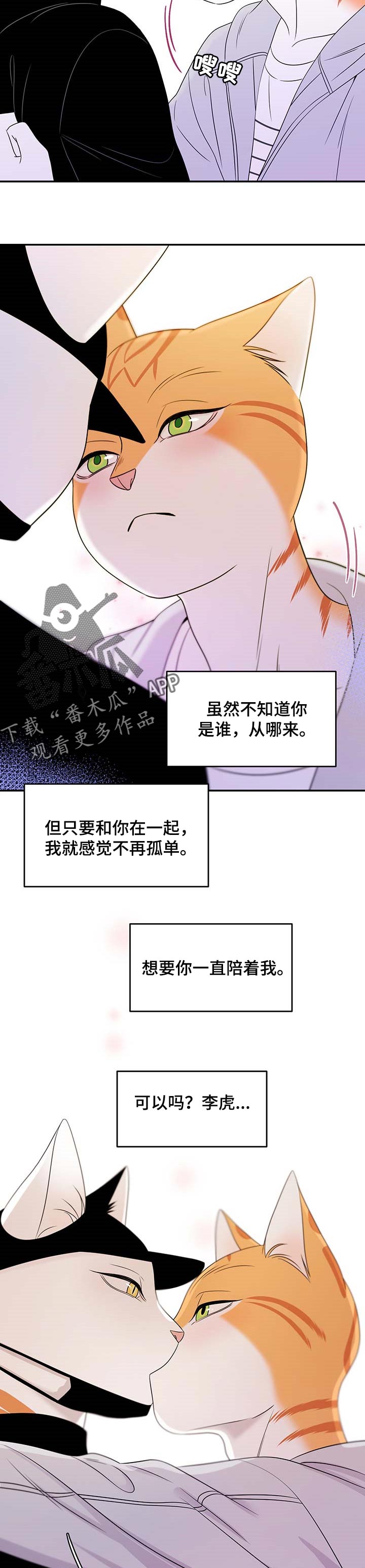 灵猫动画漫画,第21章：安心2图