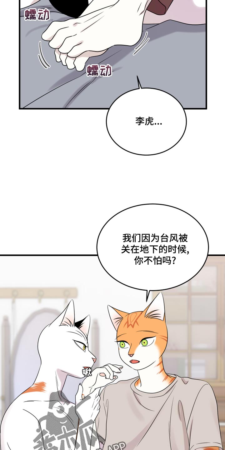 灵猫欧米伽漫蛙叫什么漫画,第91章：【第二季】暴走之前1图