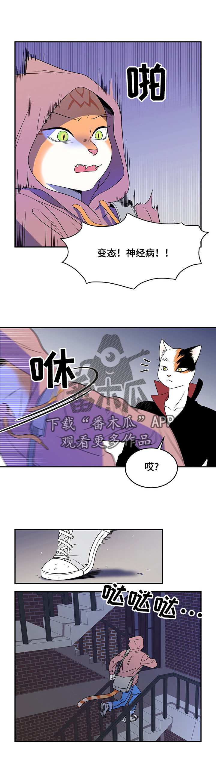 灵猫欧米伽第三季156章漫画,第2章：神经病2图