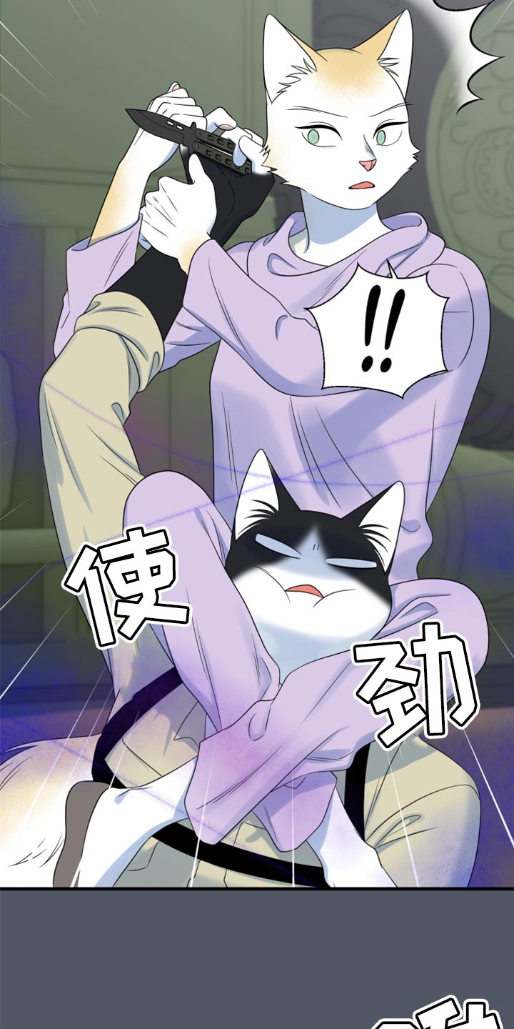 灵猫欧米伽合集漫画,第84章：【第二季】爆炸2图