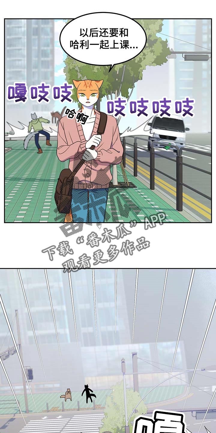 灵猫欧米伽漫画在哪里看漫画,第42章：联系方式2图