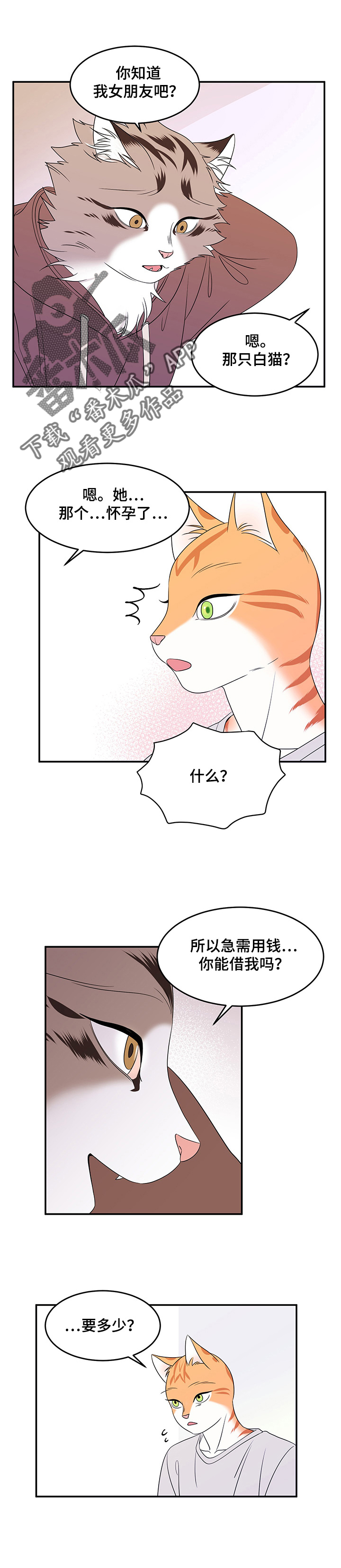 灵猫欧米伽漫画系列漫画,第6章：借钱1图