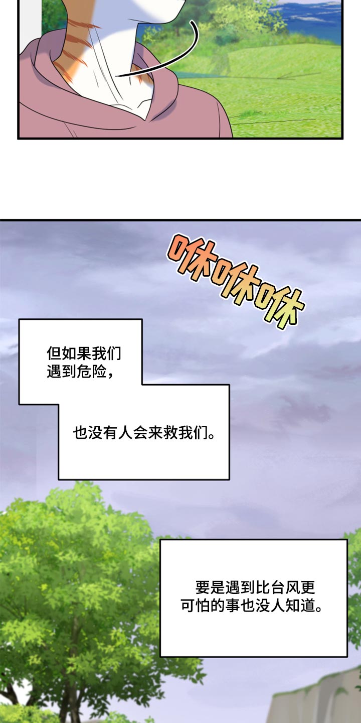 欧米伽3对猫咪有什么作用漫画,第90章：【第二季】想得太乐观2图