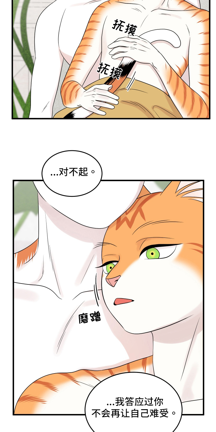 灵猫传手游漫画,第105章：【第二季】分析1图