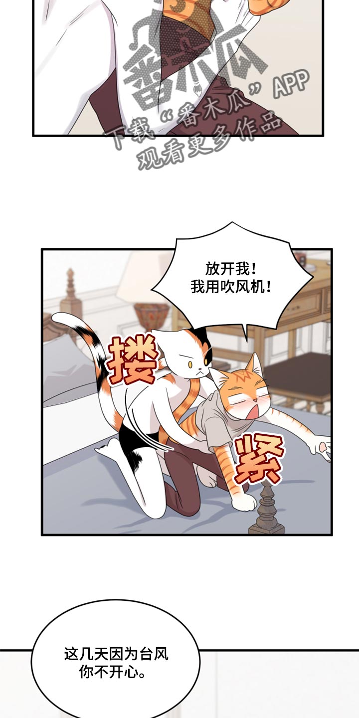 灵猫欧米伽漫画,第90章：【第二季】想得太乐观1图