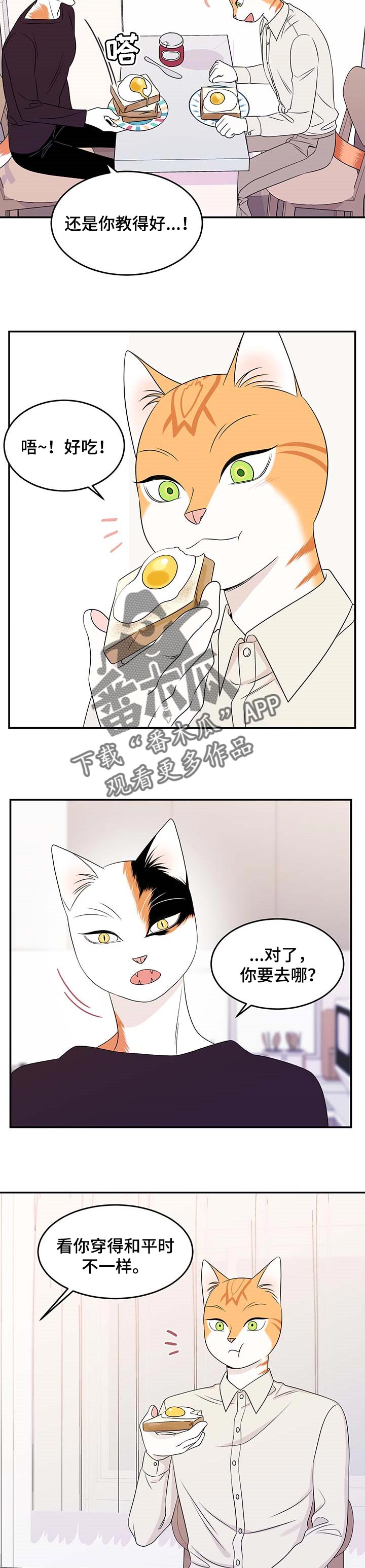 灵猫欧米伽漫画全集免费观看漫画,第21章：安心2图