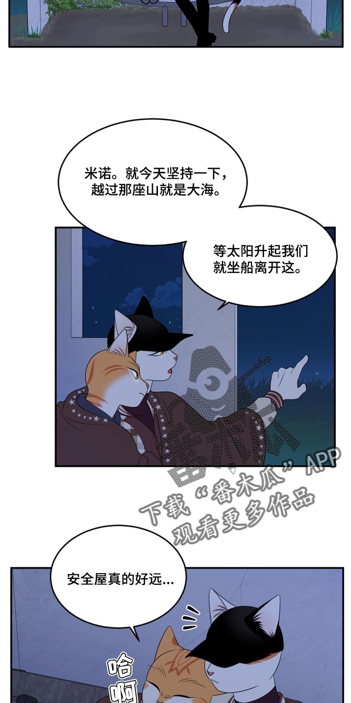 灵猫欧米伽漫画免费看漫画,第59章：【第二季】离开2图