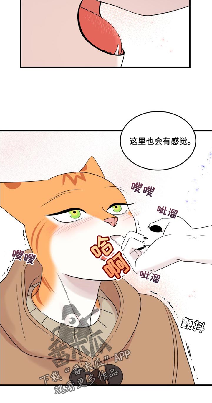 灵猫欧米伽漫画,第104章：【第二季】更重要的事2图