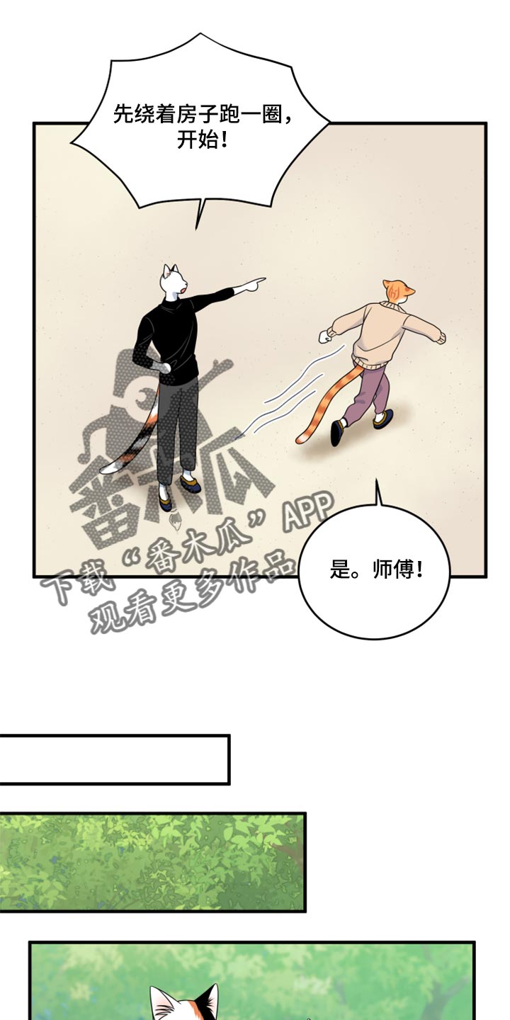 灵猫欧米伽3漫画,第87章：【第二季】学习防身术1图