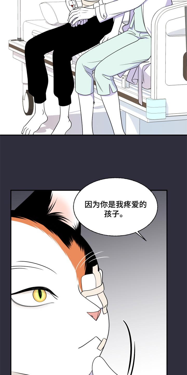 灵猫欧米伽免费版在哪里看漫画,第52章：我的人生我做主（第一季完结）2图