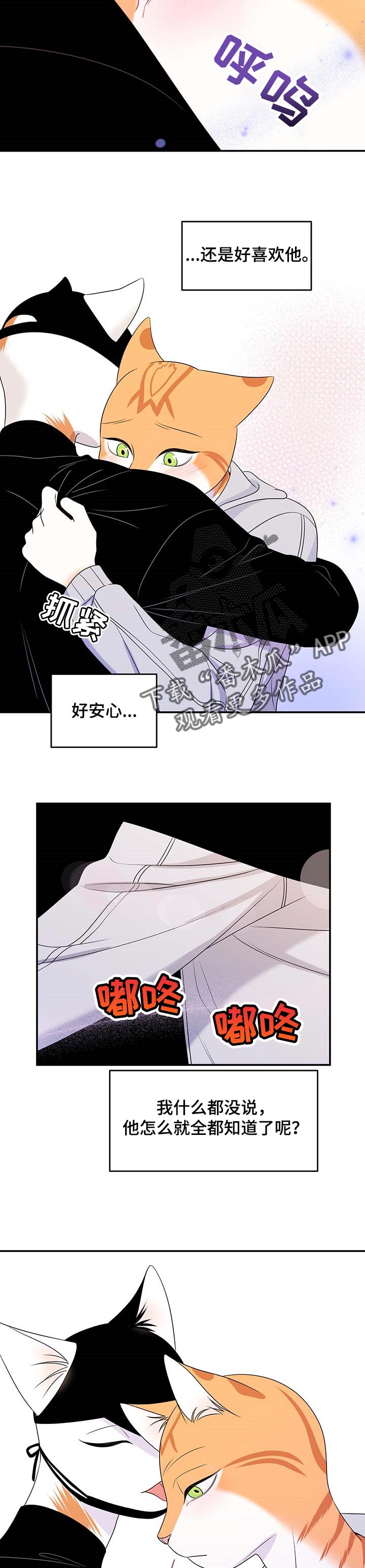 灵猫欧米伽漫画全集免费观看漫画,第21章：安心1图