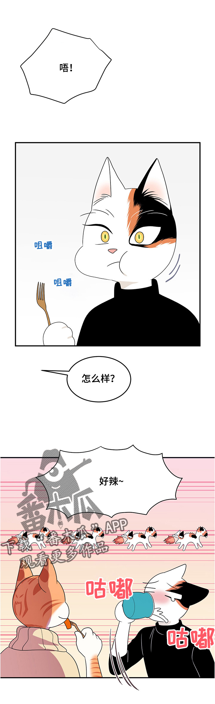 灵猫欧米伽漫画免费观看漫画,第11章：好辣1图