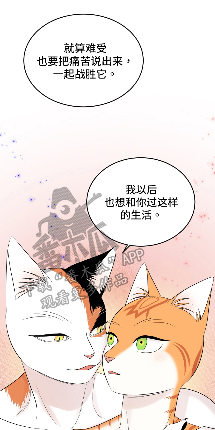 灵猫欧米伽漫画,第106章：【第二季】求婚1图