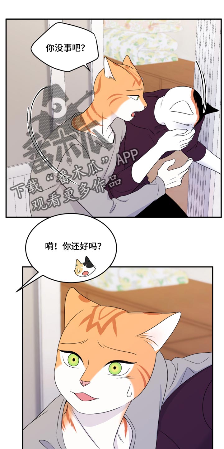 灵猫欧米伽漫画,第54章：【第二季】你要丢下我?2图