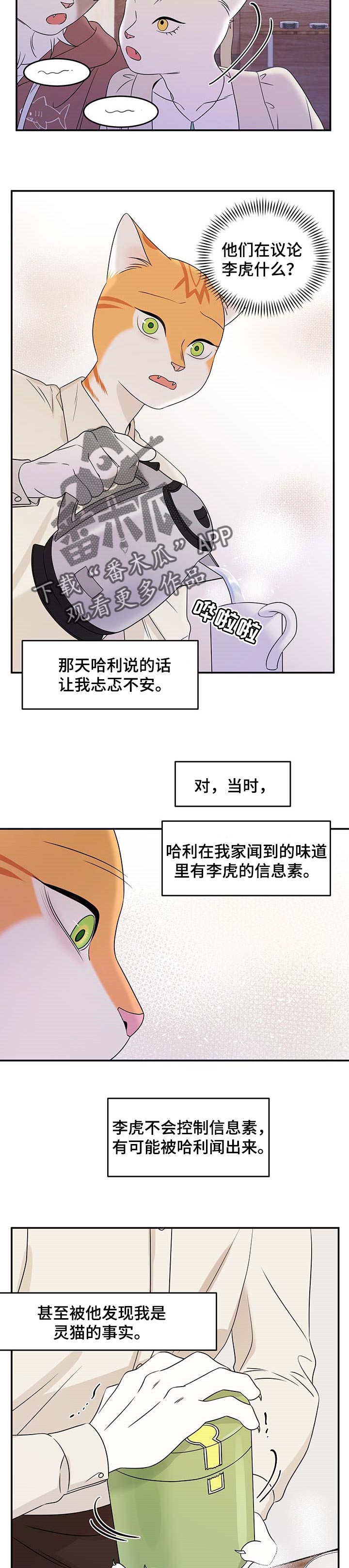 灵猫欧米伽免费阅读漫画,第23章：担心2图