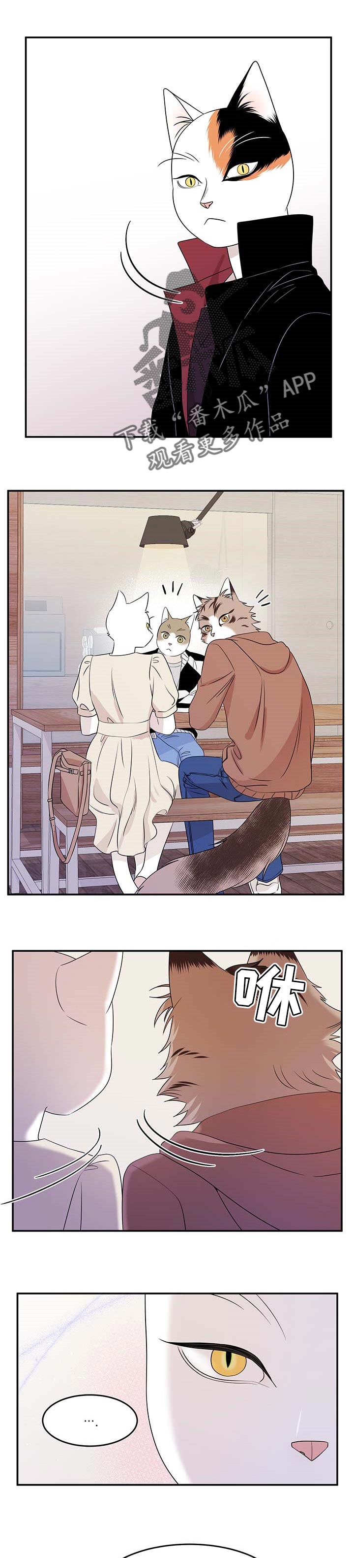 灵猫欧米伽是双男主吗漫画,第24章：可惜1图