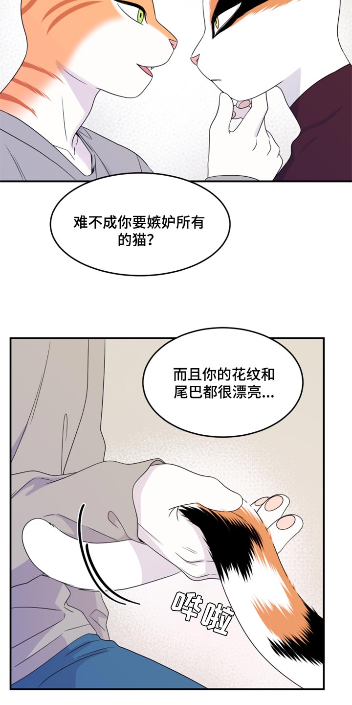 灵猫欧米迦漫画,第55章：【第二季】你再坚持一下1图