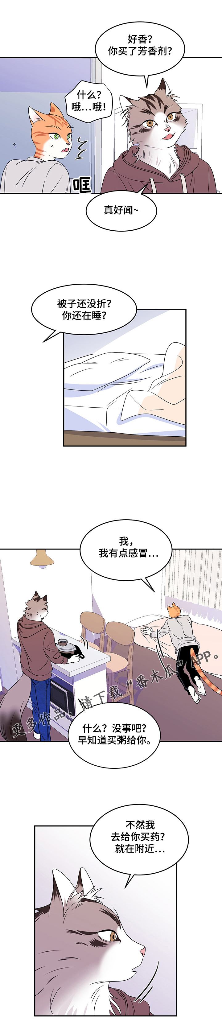 灵猫欧米伽漫画系列漫画,第4章：讨厌我1图