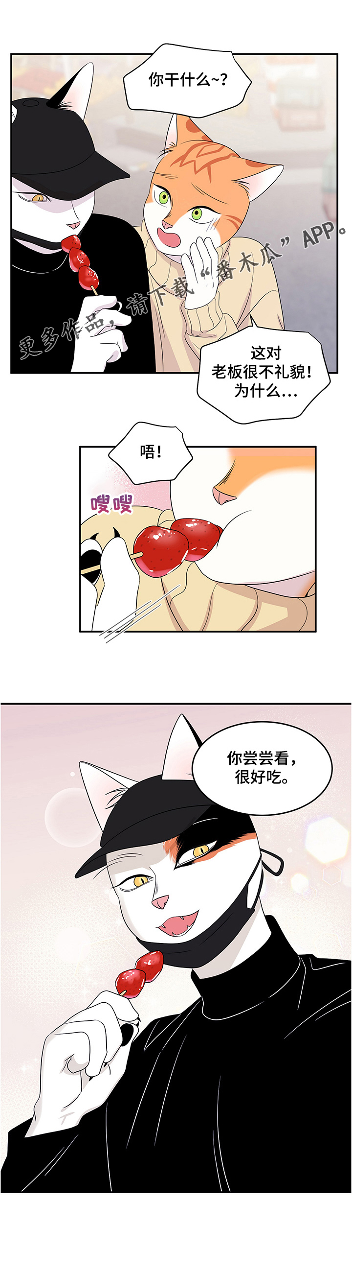 灵猫欧米伽3漫画,第9章：集市2图